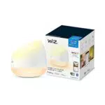 WiZ Lampada da Tavolo Portatile Squire Wi-Fi, Luce Bianca o Colorata Dimmerabile