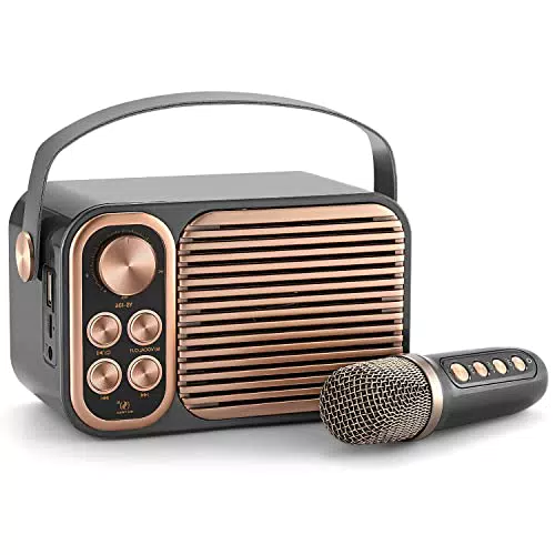 Altoparlante Bluetooth, ALPOWL Soundbar con aspetto radio retrò