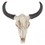 Healifty - Scultura a forma di teschio, a forma di toro largo