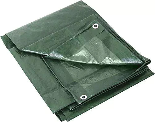 Labor 0300151 TELONE OCCHIELLATO GR.100 Verde, 3x4 m