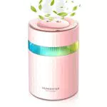 Mini Umidificatore ad Ultrasuoni, Diffusore di Aromi 900ML