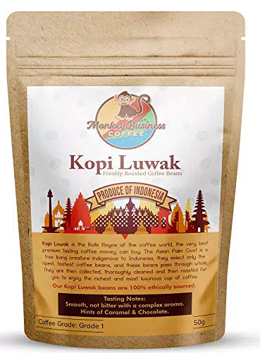 Monkey Business Coffee - Chicchi Di Caffè Macinato Kopi Luwak Selvatici - 50 Grammi - Sourced Sostenibile