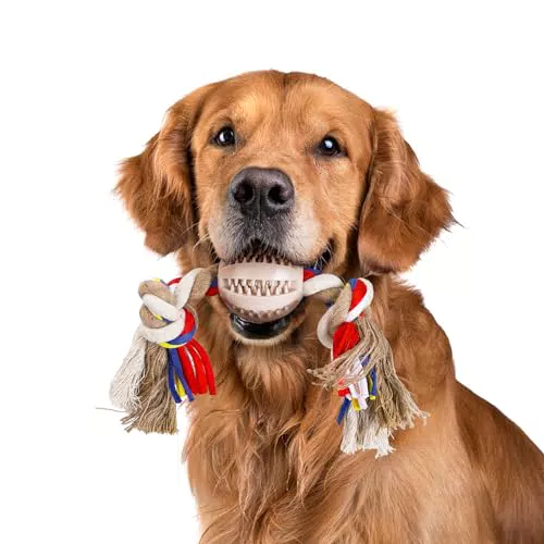 Nobleza - Corda Giocattolo per Cani in 100% Cotone, benefica per la Salute mentale del Cane ， Salute Dentale e Pulizia dei Denti ， Miglior Regalo per Tutti i Tipi di Cani （Beige e Marrone）- 32cm