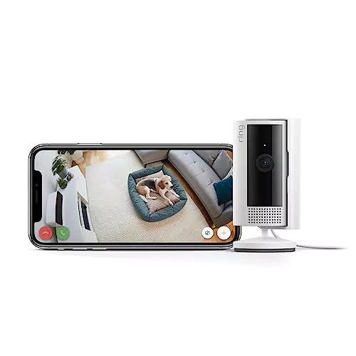 Ring Indoor Camera di Amazon, Videocamera plug-in per animali domestici, bianco