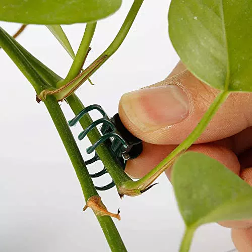 Wifehelper 100 Pezzi Clip di Supporto per Piante, Clip da Giardino Plastica Mini Stalks Attrezzi da Giardino per Fiori Clip a Stelo Grow Orchid Verticale