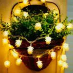 Catena Luminosa da Interno a Batteria, 6m, pigne
