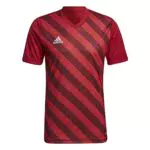 adidas Mens Jersey Entrada 22 Graphic Jersey, Team Power Red 2/Shadow Red