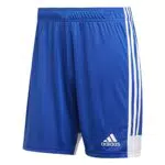 adidas Tastigo 19, Pantaloncini da Calcio Uomo, Blu Grassetto/Bianco