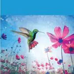 Adobe Photoshop Elements 2024, 1 Dispositivo| 1 Utente