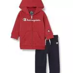 Champion Legacy Legacy American Classics TD - Hooded Full Zip Completo