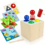 Comius Sharp 5 in 1 Pesca Montessori, Scatola di Giochi Knockout