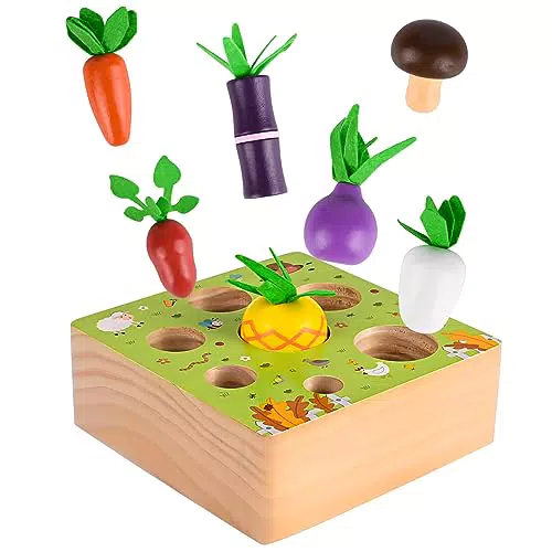 Comius Sharp Carote di Legno, Giocattoli Educativi in Legno per Bambini Piccoli Blocchi Modello in Legno Giocattoli Educativi Classici Carote Gioco di Abbinamento Evolutivo per Bambini Regali