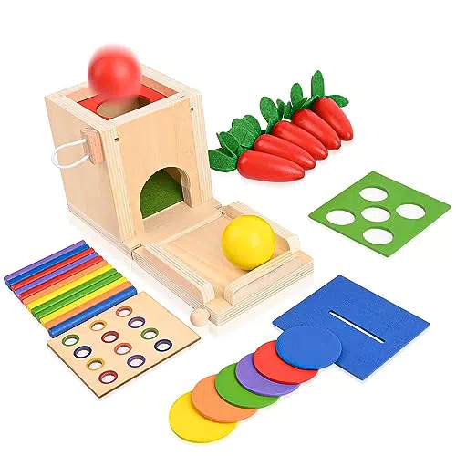 Comius Sharp Scatola di Monete 4 in 1, Giochi di Abbinamento dei Colori per Bambini