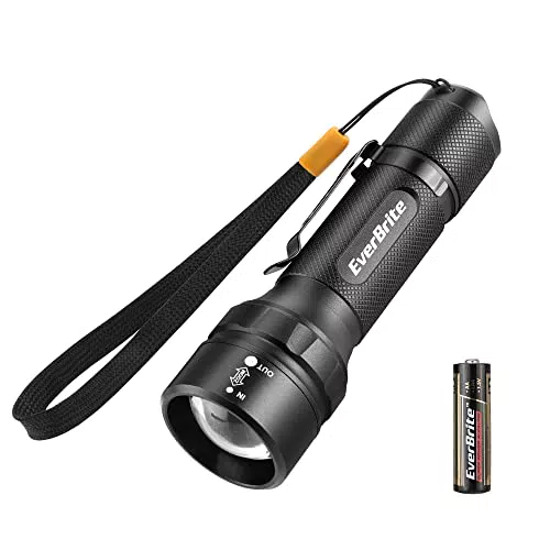 EverBrite Piccola Torcia LED, 150 Lumen