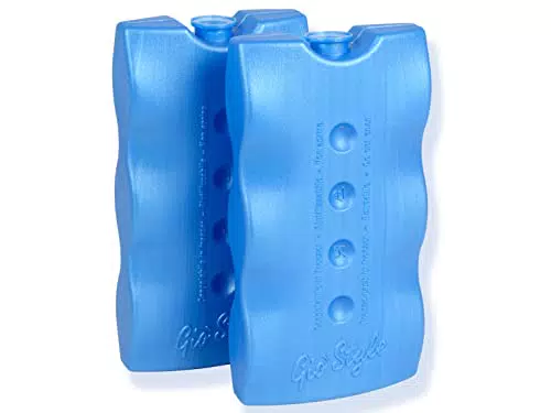 Giostyle Panetto Termico, Confezione da 4, Mattonelle Ghiaccio
