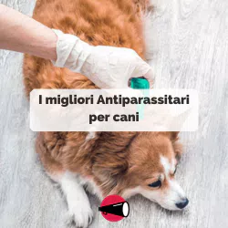 La nostra selezione di Antiparassitari per cani in offerta