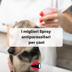 La nostra selezione di Spray antiparassitari per cani in offerta