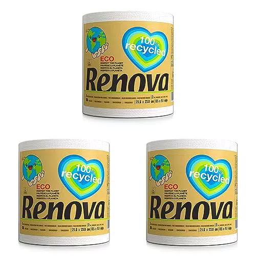 RENOVA rotoli da cucina rotolo da cucina Renovagreen Bianco Bio 1 : 10  1 gigarollo da cucina