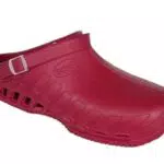 Scholl Clog Evo, Health Care Professional Shoe Donna