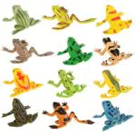 STOBOK Giocattoli di Figura Rana Realistica 12 Pezzi di Imitazione in Plastica Rane Giocattolo Mini Modello in Gomma Rana per Bambini Bomboniere Feste Statues Statue Giardino All' aperto