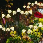 ZWOOS Luci Solari da Esterno Giardino, 4 Pezzi 8 LED Fungo Lampade Solari
