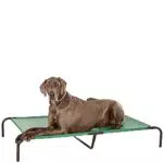 Amazon Basics, per cane, Lettino rialzato rinfrescante per animali domestici