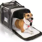 Bella & Balu borsa da trasporto per cani e gatti - grigio