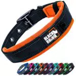 Black Rhino - Collare per cani imbottito in neoprene ultra morbido