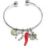Bracciale donna acciaio corno portafortuna e ciondolo ciampa di cavallo .Made in Italy. bracciale in acciaio emozionale - frasi