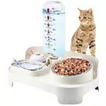 Ciotole per Gatti Rialzate, 15°Inclinate Ciotola per Gatti