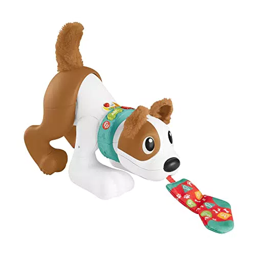 Fisher-Price - 123 Tobia Gattona con Me, Cagnolino Giocattolo Elettronico Edizione italiana con Movimenti Realistici per Primi Passi con Tecnologia Smart Stages