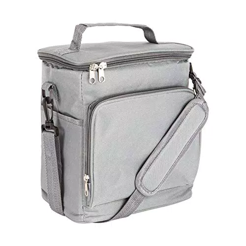 Nicola Spring Insulated Cooler Bag - Morbida Lati Pranzo Picnic Barbecue Raffreddare Borsa con Tracolla - Grigio