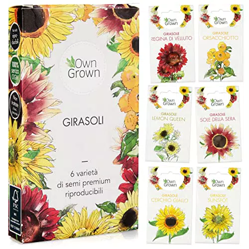 OwnGrown Set Semi di Girasole - 6 Varietà di Semi di Girasole da Piantare - Semi di Girasole Giganti e Piccoli - Semi da Piantare - Semi per Fiori Alti