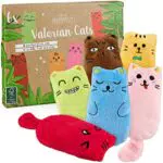 PRETTY KITTY Peluche gatto con valeriana: 6x giochi per gatti con valeriana - Giocattoli per gatti eccitanti - Cuscino per gatta