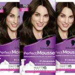 Schwarzkopf Perfect Mousse colorazione permanente in schiuma 365/3-65 Cioccolato Brownie
