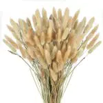 SLFYEE 100PCS Erba Della pampas Decorative Erba Coda di Coniglio Pampas Secca Naturali Pianta Secchi Pampas Artificiali 45cm Bouquet Pampas Grass Piccole per Decorazioni Soggiorno Matrimonio Festa