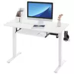 WOLTU Scrivania Regolabile in Altezza Elettrica 120x60cm