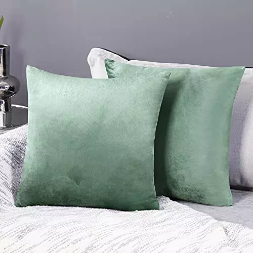 Deconovo Set da 2 Federe Cuscini 40x40 CM per Divano Camera da Letto