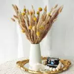 Erba Della Pampas Decorativi, 55 Pezzi