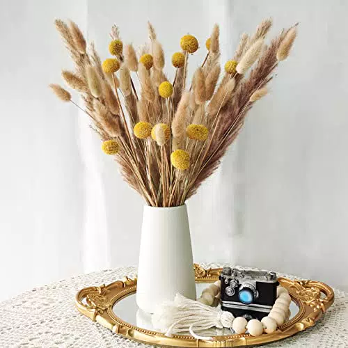 Erba Della Pampas Decorativi, 55 Pezzi