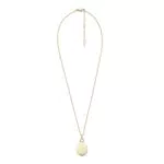 Fossil Collana da Donna, Collana con Ciondolo in Acciaio Inossidabile, JF04173710