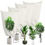 GUHAOOL Cappuccio Protezione Piante, 4 PCS 80x60CM Protezione Invernale per Piante con Coulisse