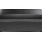 Optoma L1