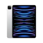 Apple 2022 iPad Pro 11 - Grigio siderale