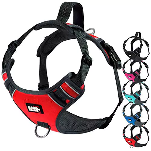 Black Rhino il comfort cablaggio del cane con mesh imbottito vest per le piccole grandi razze