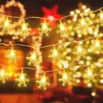 Catena Luminosa Fiocco di Neve 20 Stelle 3M Batteria Alimentata LED Luci Illuminazione