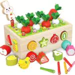 Gioco di Smistamento di Giocattoli Montessori Puzzle in Legno Raccolta di Carote