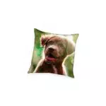 Herding Cuscino Decorativo, Young Collection, Cucciolo