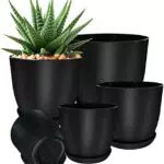 Utopia Home Vasi per piante da interno con drenaggio Confezione da 5 - cm Vasi decorativi per piante da interno - vasi di plastica per piante da interno