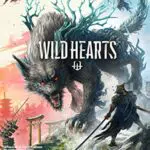 Wild Hearts Standard, Codice Origin per PC